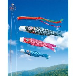 友禅鯉 大型セット 8m6点