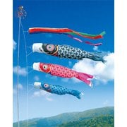 友禅鯉 大型セット 8m6点