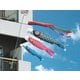 友禅鯉 2m ファミリーセット