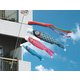 友禅鯉 1.2m ファミリーセット
