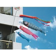 友禅鯉 1.2m ファミリーセット