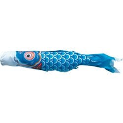 友禅鯉 6m 青