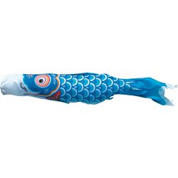 友禅鯉 5m 青