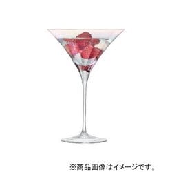 PEARL パール COCKTAIL GLASS 300ml ×2 LPE25 G1444-11-916