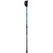 ノルディックポール DFP コンパクトズーム 2本組 3段伸縮タイプ WH1150-BLU ブルー 2本セット [ウォーキングポール]