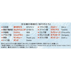 ヨドバシ Com 東京カートグラフィック Cfsa クリアファイル 世界の言葉ありがとう 通販 全品無料配達