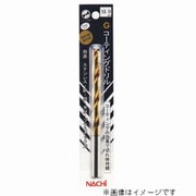 鉄ステン用ドリル（P）チタン GSDP2.0 #451520