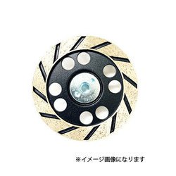 SA-RM100 SAポリッシャーリム字100