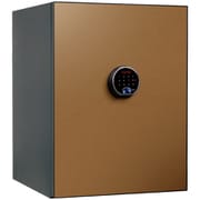 90分耐火金庫 プレミアム金庫 BEYOND(ビヨンド)シリーズ 64L/100kg タッチパネル+指紋認証 BY700CG