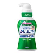 ディープクリーン 泡ハミガキ 190ml [液体・泡ハミガキ 医薬部外品]