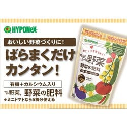 ヨドバシ.com - ハイポネックス 今日から野菜 野菜の肥料 300g 通販 