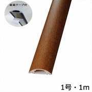 DZ-MPTT1/O [00-4613 配線プロテクター 1号 木目オーク 1m テープ付き]