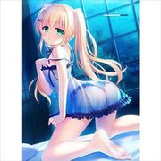 Summer Pockets REFLECTION BLUE B2タペストリー 紬ヴェンダース/夜 [キャラクターグッズ]
