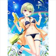 Summer Pockets REFLECTION BLUE B2タペストリー 野村美希/水着 [キャラクターグッズ]