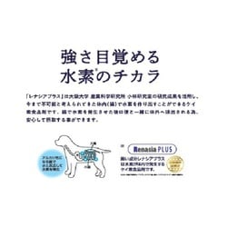 ヨドバシ.com - マルカン サンライズ THE・PERFECT ONE ソフト チキン 成犬用 [犬用 半生 500g 総合栄養食]  通販【全品無料配達】