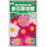赤花除虫菊 ロビンソンミックス 約125粒 1袋
