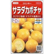 サラダカボチャ コリンキー 約10粒 1袋