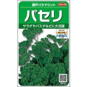 パセリ 瀬戸パラマウント 1袋