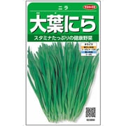 大葉にら ニラ 1袋