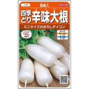 四季どり辛味大根 雪美人 1袋