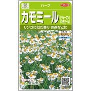 カモミール ハーブ 約4150粒 1袋