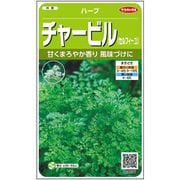 チャービル ハーブ 約770粒 1袋