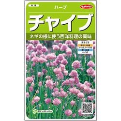 ハーブ チャイブ 1袋