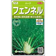 フェンネル ハーブ 約125粒 1袋