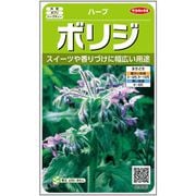ボリジ ハーブ 約46粒 1袋