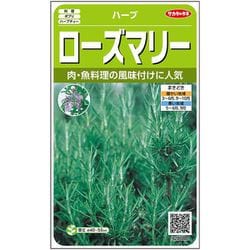 ヨドバシ Com サカタのタネ ローズマリー ハーブ 約65粒 1袋 通販 全品無料配達