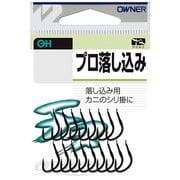 バラ 10336 プロ落し込み 1