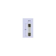 ヒューズ 管ヒューズ 10A-26ミリ (1箱/10個入り) F1026