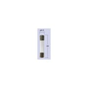 ヒューズ 管ヒューズ 10A-30ミリ (1箱/10個入り) F1030