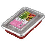 シーズンズディシュパックS 5組入