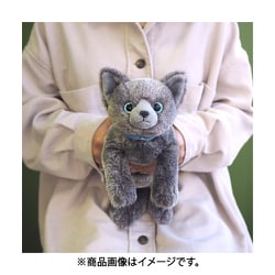 ヨドバシ.com - サンレモン SUNLEMON P-7662 ひざねこ S