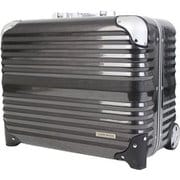 スーツケース 旅行日数目安：1～2泊 31L TSAロック搭載 機内持ち込み可 三層構造ポリカーボネート・横型フレームビジネスキャリー カーボン 6200-44-CB
