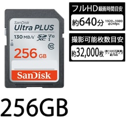 SanDisk Ultra Plus SDXC 256GB