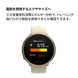 新品超特価】 Polar ポラール Ignite 2 GPS フィットネス スマート