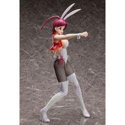 卯都木命　１／７完成品（勇者王ガオガイガー） Amazon.co.jp: HG GIRLS 勇者王ガオガイガーFINAL 卯都木命 完成