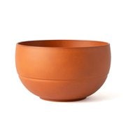 WAYOWAN まる アカシア 大 AZ16-22