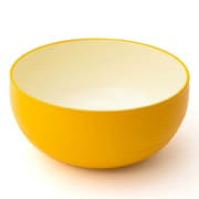 WAYOWAN まる 柿色 若実 丼 AZ19-11