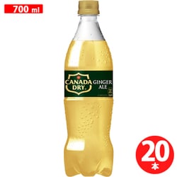 カナダドライ ジンジャーエール 700ml×20本