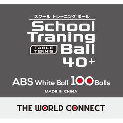 TWC スクール・トレーニングボール 40+ School Training Ball 40+ DV010 100球入 [卓球 ボール]