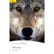 Pearson English Readers Level 2 White Fang [洋書ELT]