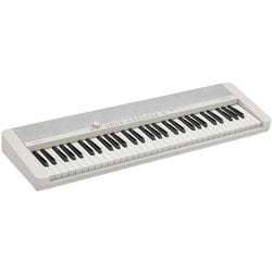 ヨドバシ.com - カシオ CASIO CT-S1 WE [キーボード 61鍵盤 ホワイト