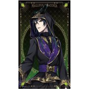 ディズニー ツイステッドワンダーランド A2変形タペストリー2 (19)マレウス・ドラコニア [キャラクターグッズ]