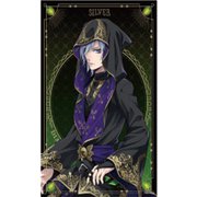 ディズニー ツイステッドワンダーランド A2変形タペストリー2 （20）シルバー [キャラクターグッズ]