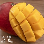 台湾産高級マンゴー アップルマンゴー 2.5kg（6～7個入り） [産地直送品]