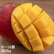台湾産高級マンゴー アップルマンゴー 5kg（9～14個入り） [産地直送品]