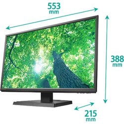 I・O DATA 23.8型ワイド液晶ディスプレイ LCD-AH241XDB-A